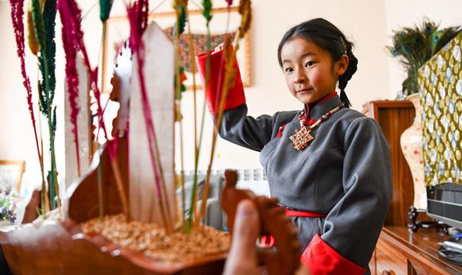 China Focus: A different Tibetan New Year amid epidemic