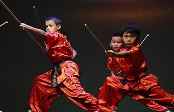 Shaolin Kung Fu show warmly applauded in Houston