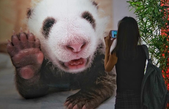 1st China Giant Panda Int'l Culture Week held in Beijing