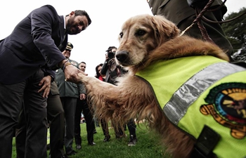 Recognition ceremony held in Colombia's Bogota to mark World Animal Day
