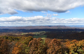 Autumn secenry of Shenandoah National Park in Virginia, U.S.