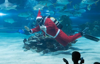 Diving Santa appears at Tropicarium in Budapest, Hungary