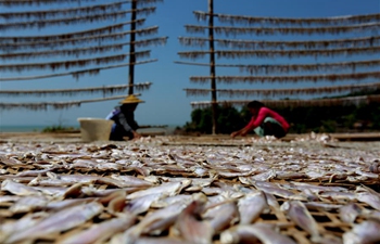 Fish farmers dry fish in Myanmar