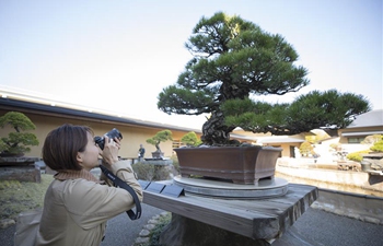 People visit Omiya Bonsai Art Museum in Saitama, Japan