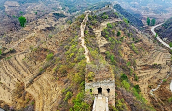 In pics: Qingshan'guan Pass of Great Wall in north China's Hebei