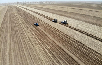 Farmers work in field in northeast China's Jilin
