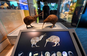 Nature exhibition to reopen in New Zealand's national museum