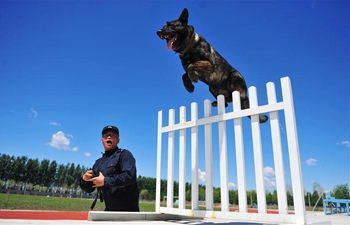 Police dogs trained in drill in Harbin, NE China