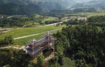 Scenery of tea garden in Dushan County, China's Guizhou