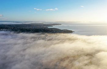 In pics: fogs floating over Auckland, New Zealand