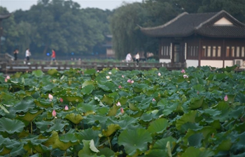 In pics: West Lake in Hangzhou, east China's Zhejiang