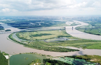 In pics: scenery of wetland in northeast China's Heilongjiang