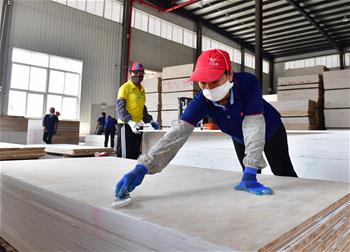 Employees work in Guangdong-Guangxi poverty relief cooperation industrial park