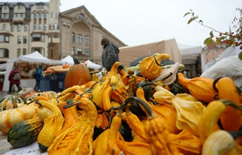 Autumn Harvest Festival held in Riga, Latvia