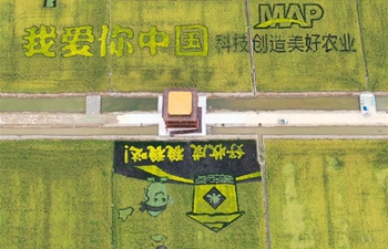 Aerial views show harvest across China