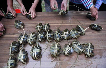 Crab-binding competition held to mark harvest season of Chinese mitten crabs in Zhejiang