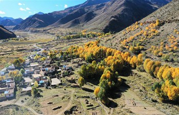 Scenery in Doilungdeqen of Lhasa, China's Tibet