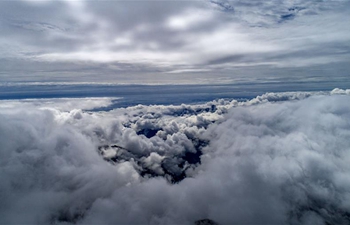 In pics: sea of clouds at Shennongjia National Park, China's Hubei