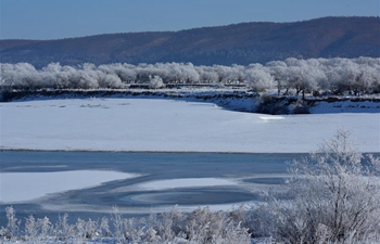 In pics: rime scenery at Heilongjiang River in northeast China