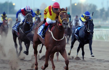 New horse racing season kicks off in Kuwait