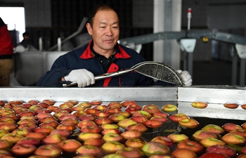 Aksu, major apple production area in China