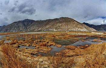 Scenery of Lhalu wetland, "the Lung of Lhasa"