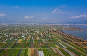 Spring scenery of fields in Tonghai, Taiyuan