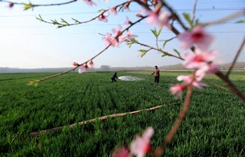 Farmers busy with spring ploughing across china