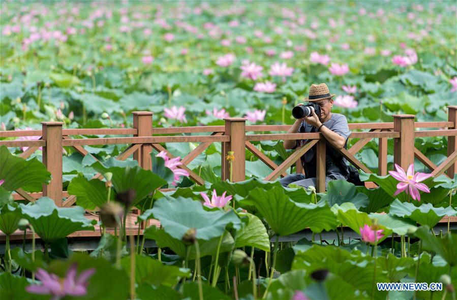 CHINA-HUBEI-HONGHU LAKE-PROTECTION (CN)