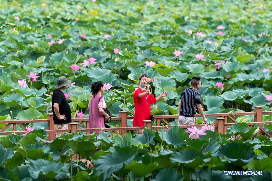 CHINA-HUBEI-HONGHU LAKE-PROTECTION (CN)