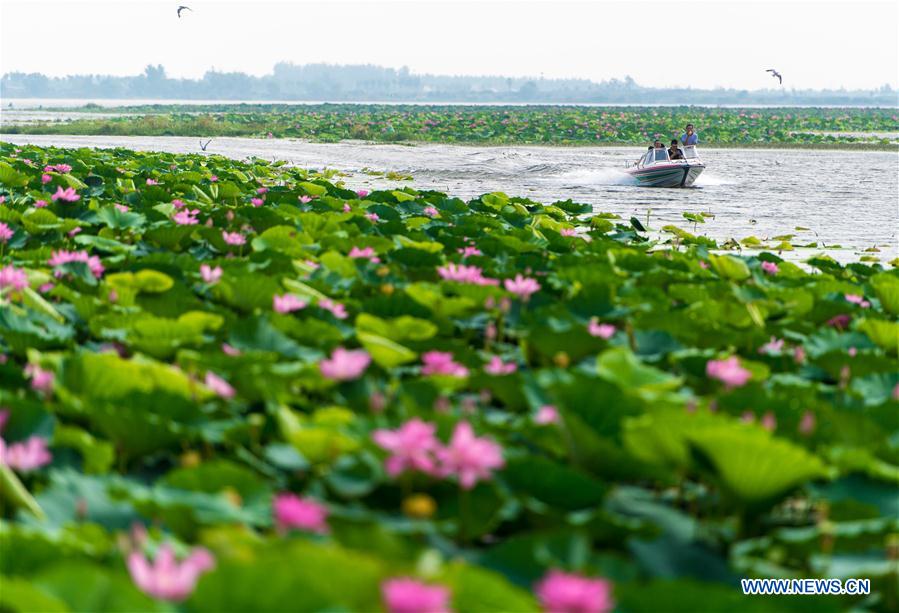 CHINA-HUBEI-HONGHU LAKE-PROTECTION (CN)