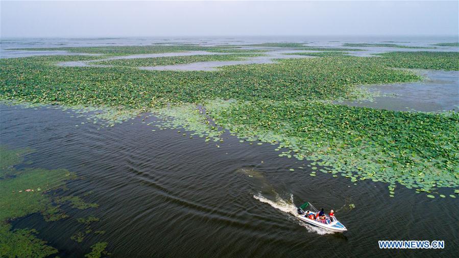 CHINA-HUBEI-HONGHU LAKE-PROTECTION (CN)
