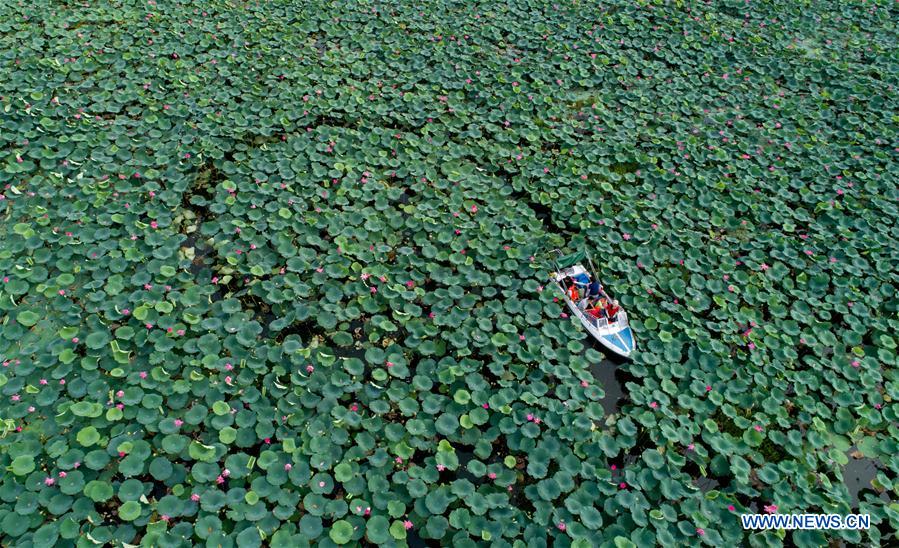 CHINA-HUBEI-HONGHU LAKE-PROTECTION (CN)