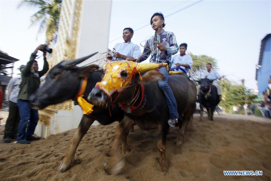 CAMBODIA-KANDAL-BUFFALO RACE