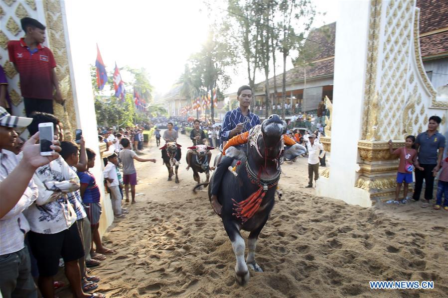 CAMBODIA-KANDAL-BUFFALO RACE
