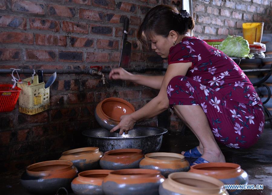 VIETNAM-HA NAM-TRADITIONAL BRAISED FISH