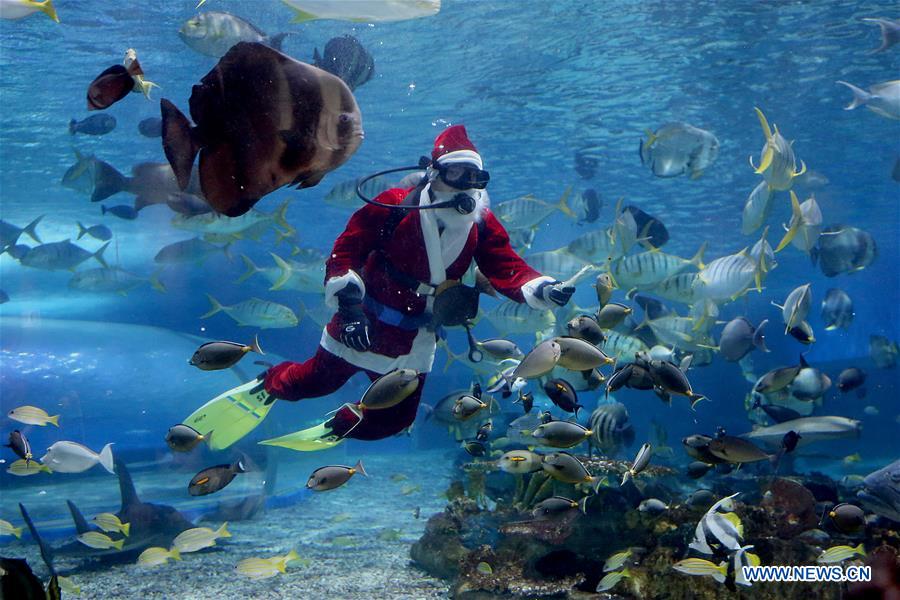 PHILIPPINES-MANILA-OCEAN PARK-UNDERWATER-SANTA CLAUS
