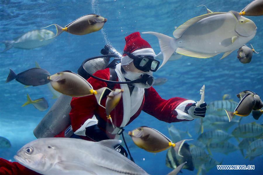 PHILIPPINES-MANILA-OCEAN PARK-UNDERWATER-SANTA CLAUS