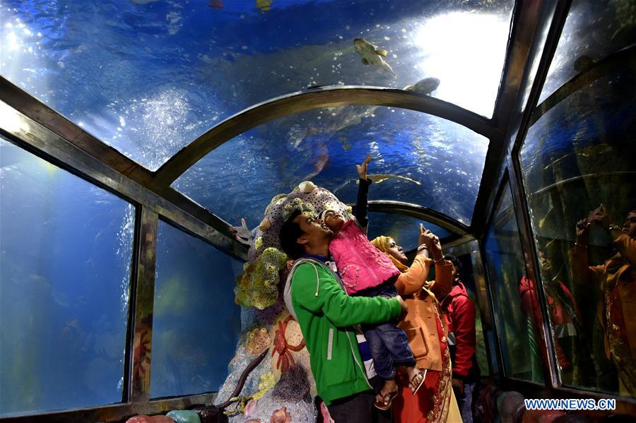 BANGLADESH-COX'S BAZAR-FISH-AQUARIUM
