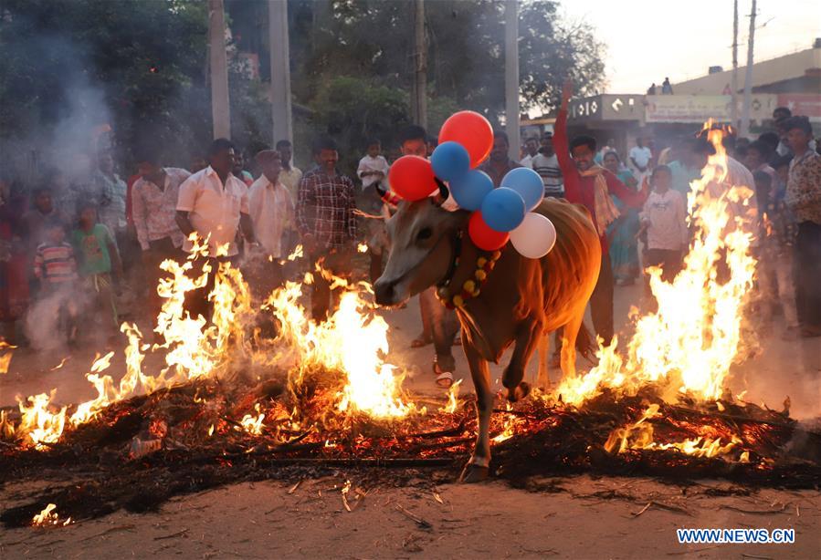 INDIA-BANGALORE-FESTIVAL-CELEBRATION