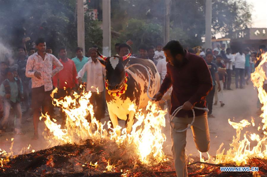 INDIA-BANGALORE-FESTIVAL-CELEBRATION