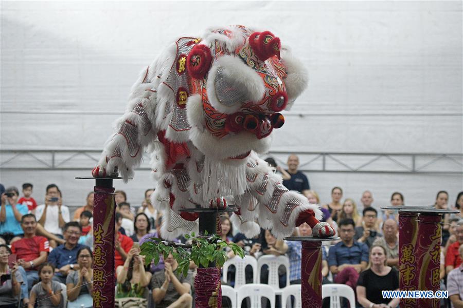 SINGAPORE-LION DANCE-COMPETITION