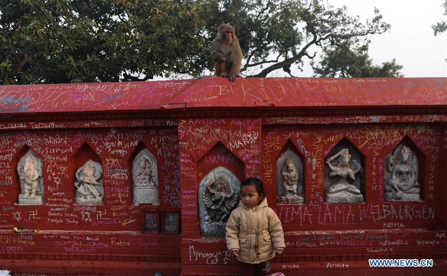 NEPAL-KATHMANDU-SHREE PANCHAMI FESTIVAL