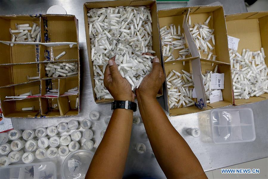 PHILIPPINES-QUEZON CITY-CONFISCATED VENOMOUS TARANTULAS