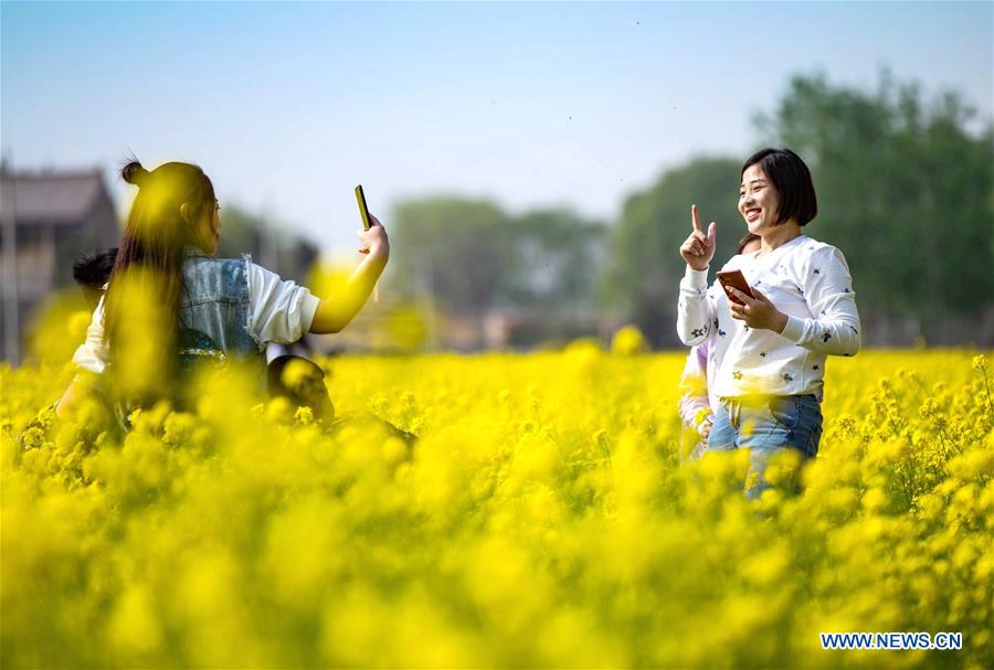 CHINA-HEBEI-COLE FLOWER-SCENERY (CN)