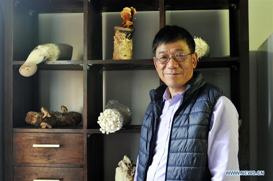 AUSTRALIA-CANBERRA-MUSHROOM FARM