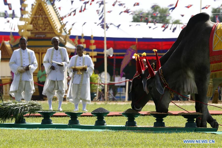 CAMBODIA-TAKEO-ROYAL PLOUGHING CEREMONY-FARMING SEASON