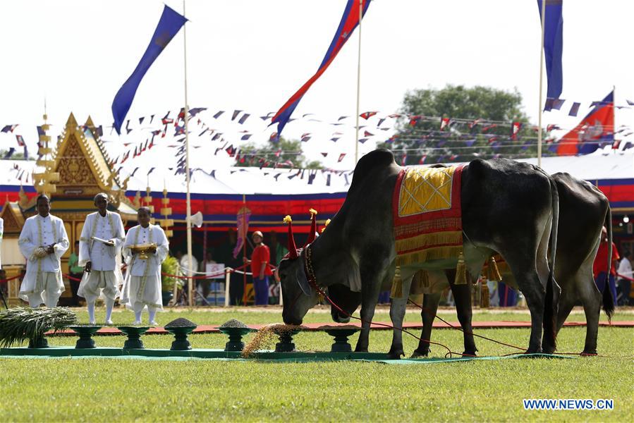 CAMBODIA-TAKEO-ROYAL PLOUGHING CEREMONY-FARMING SEASON