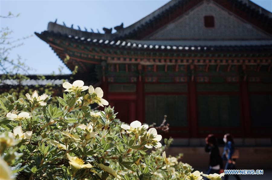 SOUTH KOREA-SEOUL-CHANGDEOKGUNG PALACE-SCENERY (CN)