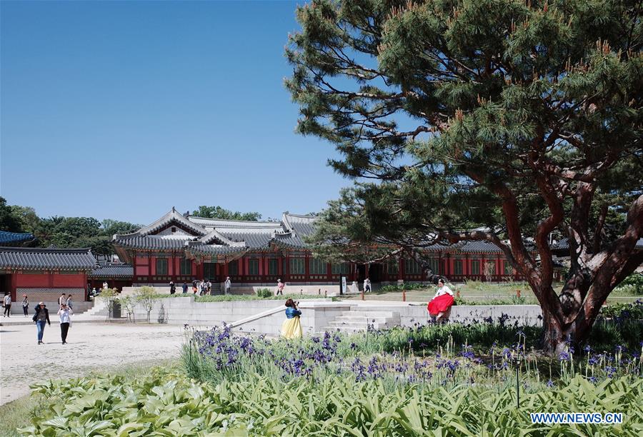 SOUTH KOREA-SEOUL-CHANGDEOKGUNG PALACE-SCENERY (CN)
